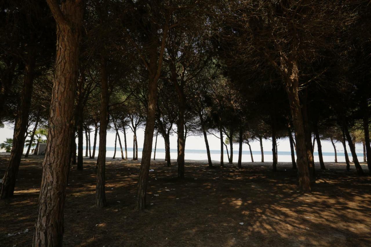 Pine-Tree Apt W/ Private Garden 50 M From The Sea Golem  Buitenkant foto