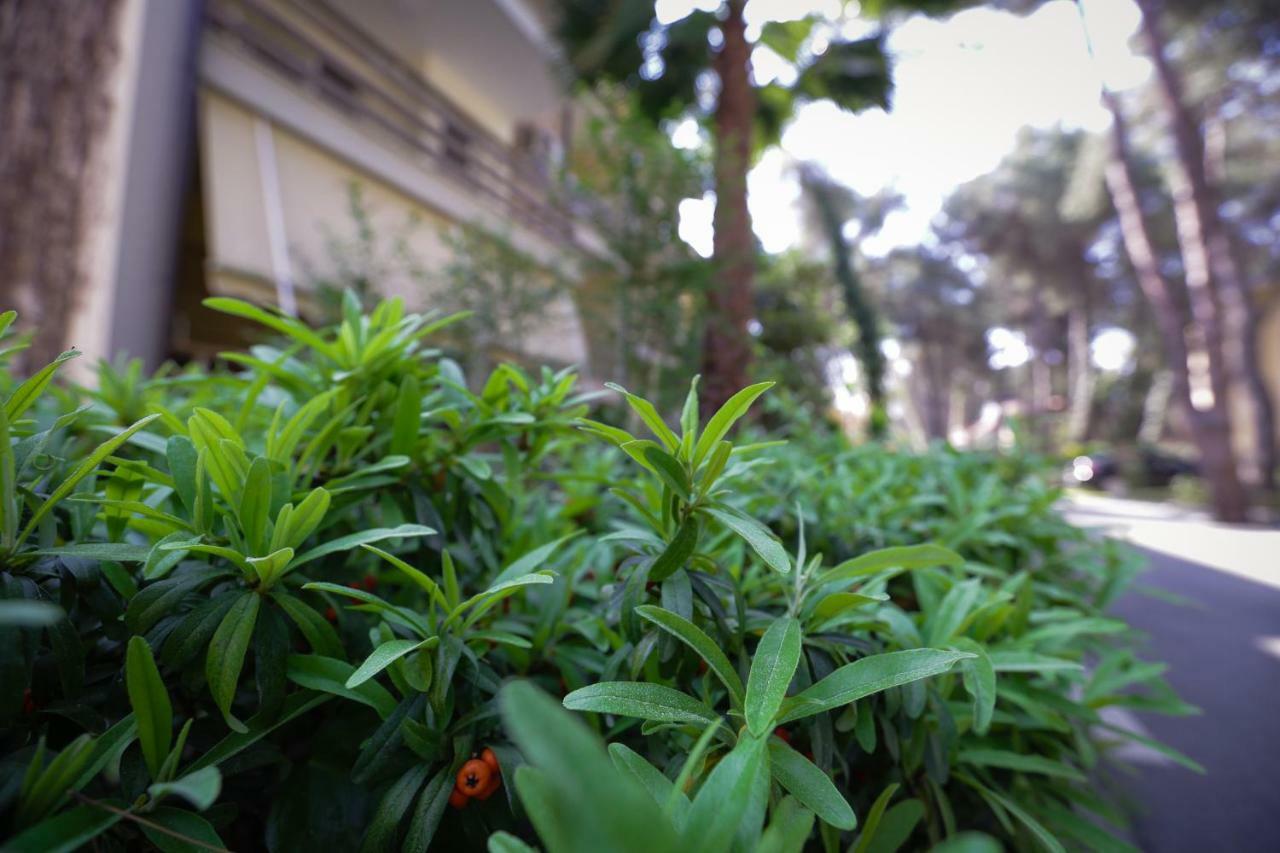 Pine-Tree Apt W/ Private Garden 50 M From The Sea Golem  Buitenkant foto