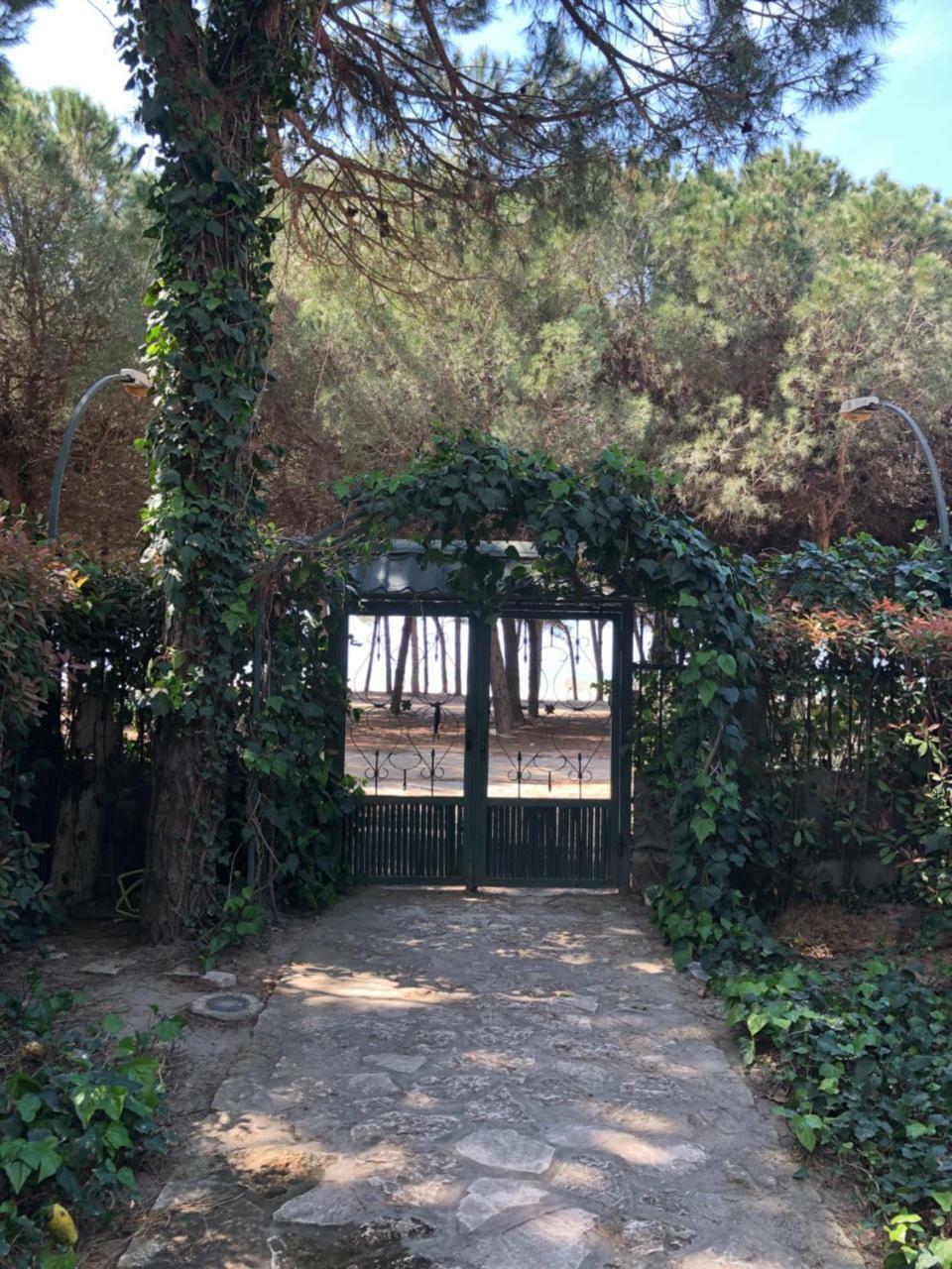 Pine-Tree Apt W/ Private Garden 50 M From The Sea Golem  Buitenkant foto