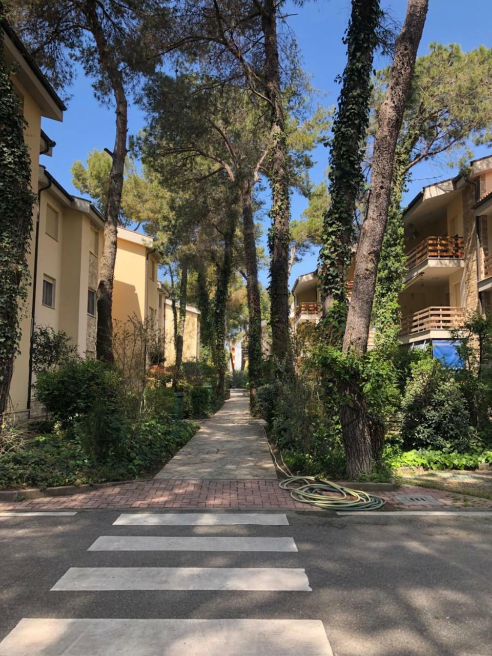 Pine-Tree Apt W/ Private Garden 50 M From The Sea Golem  Buitenkant foto